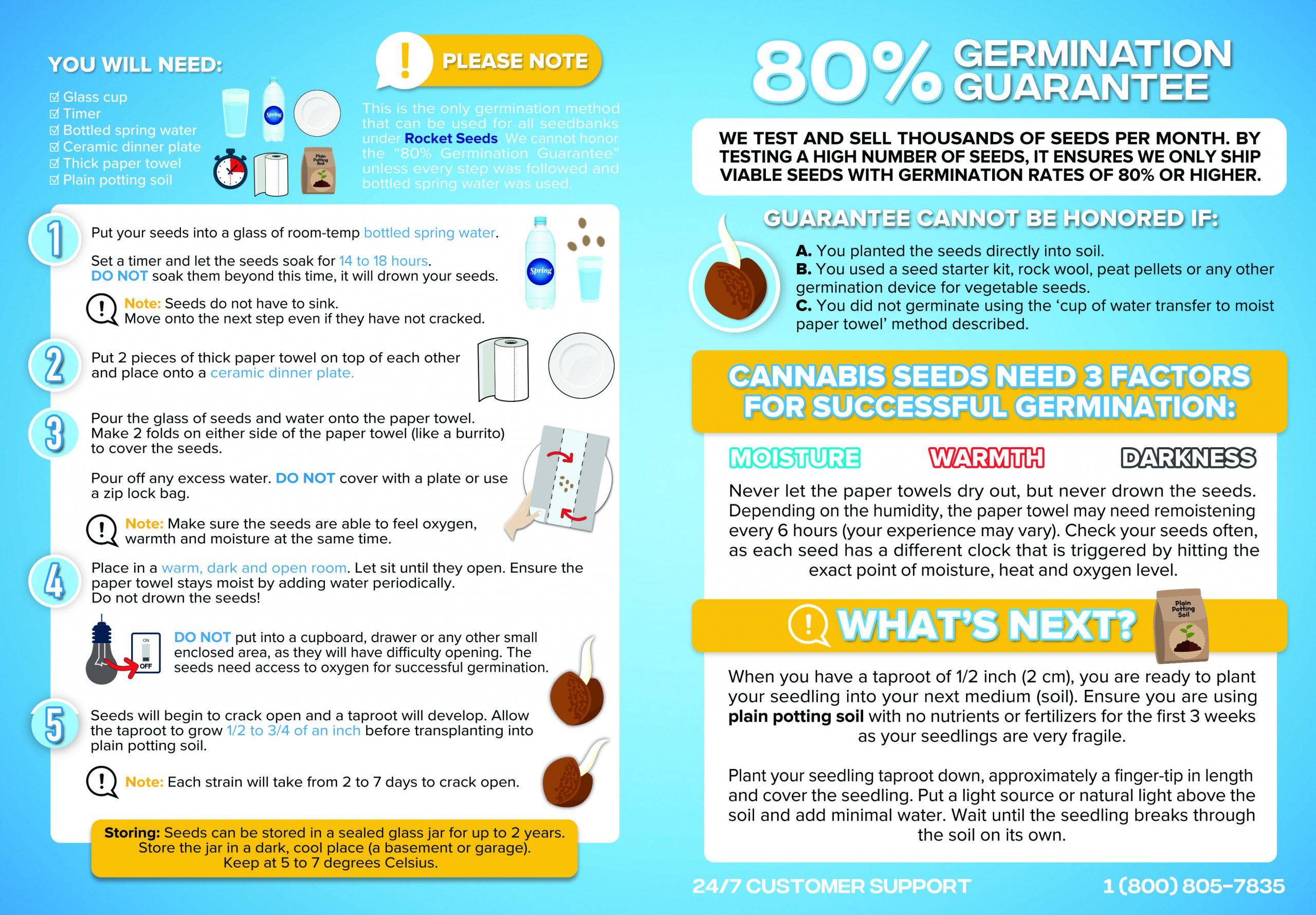 Marijuana Seeds Germination